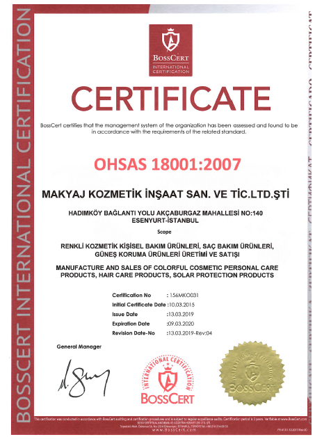 OHSAS 18001.PNG (264 KB)