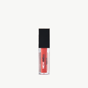 Liquid Lipgloss 04